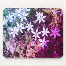 Pasta de rato de flor branca