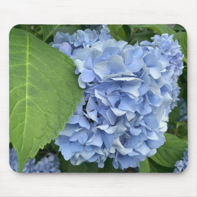 Mousepad Pasta de rato de Hydrangea (Hydrangea macrophylla) (Frente)