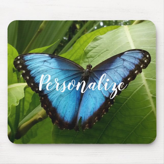 Mousepad Pasta de rato personalizada com fotografia azul da (Frente)