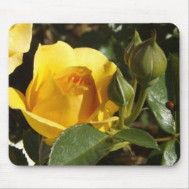 Mousepad Pasta de rato rosa e joelho amarela