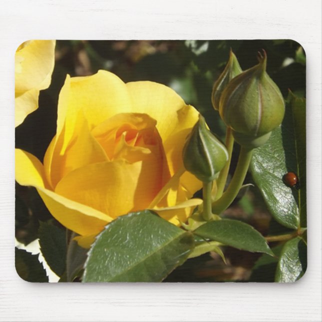 Mousepad Pasta de rato rosa e joelho amarela (Frente)