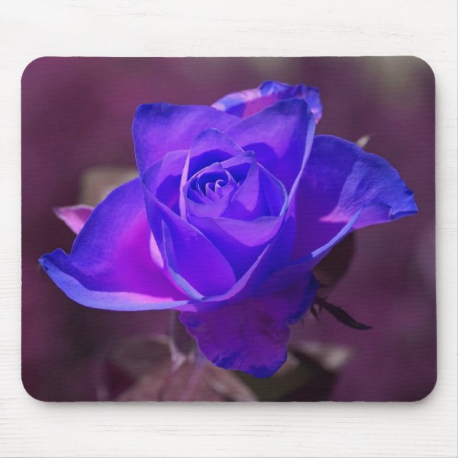 Mousepad Pasta de Rosa do rato roxa profunda (Frente)