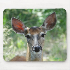 Mousepad Pasta do mouse D33 com ponta branca