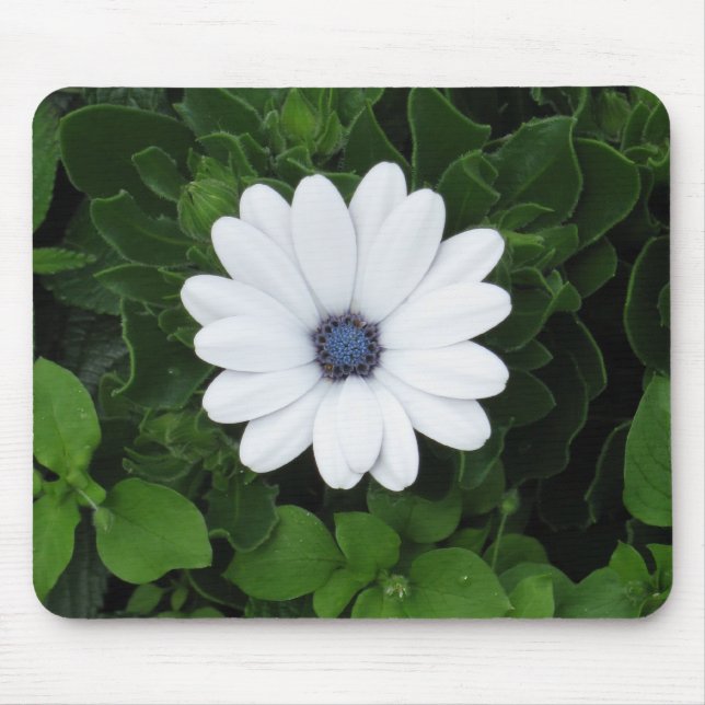 Mousepad Pasta do mouse da Flor Branca (Frente)