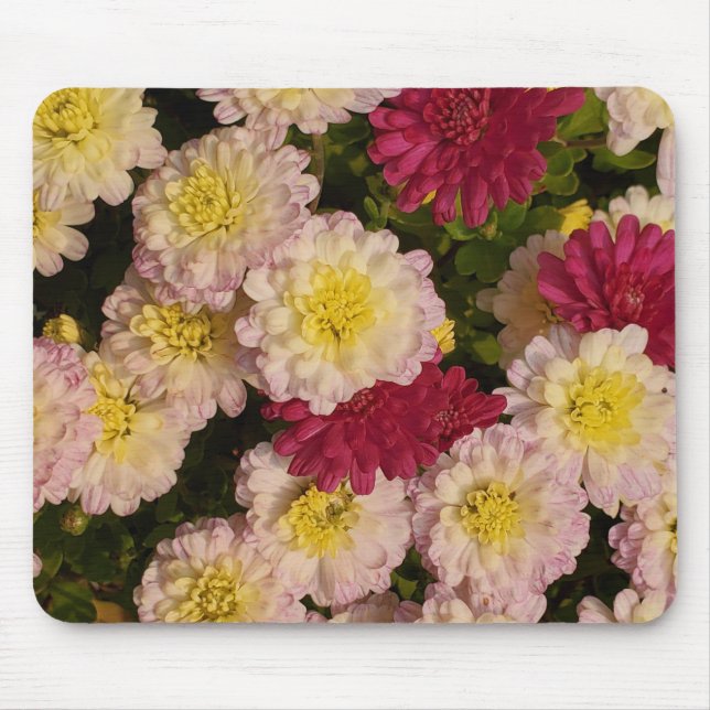 Mousepad Pasta do mouse do Mãe (Frente)