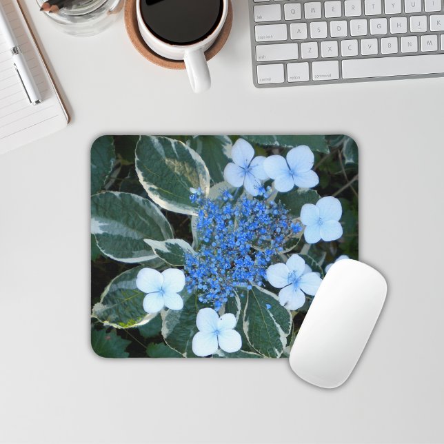 Mousepad Pasta do mouse Hydrangea Azul Variegada (Criador carregado)