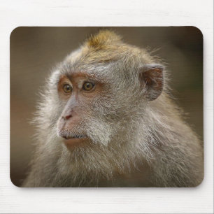 Mousepad Pasta do mouse macaco