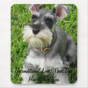 Mousepad Pasta do mouse Mini Schnauzer Tamanho do Cheio