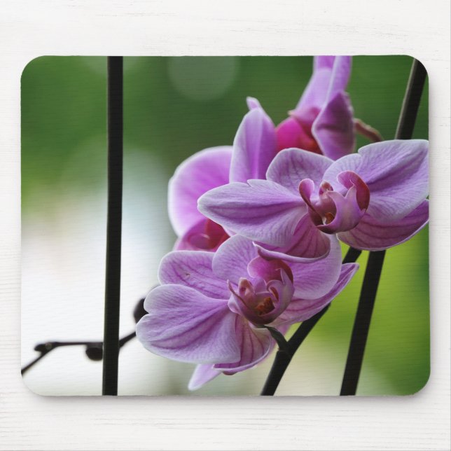 Mousepad Pasta do mouse Orchid (Frente)