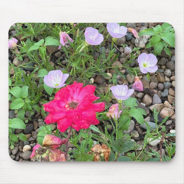 Mousepad Pasta do mouse rosa e Primrose (Frente)