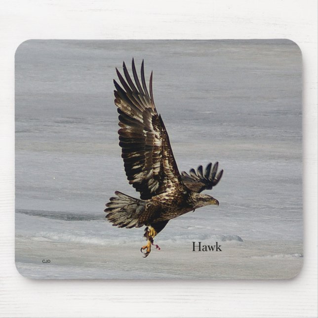 Mousepad Pasta do rato Hawk (Frente)