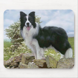 Mousepad Pasta-Mão-Mão De Cão De Cães De Collie Preta E