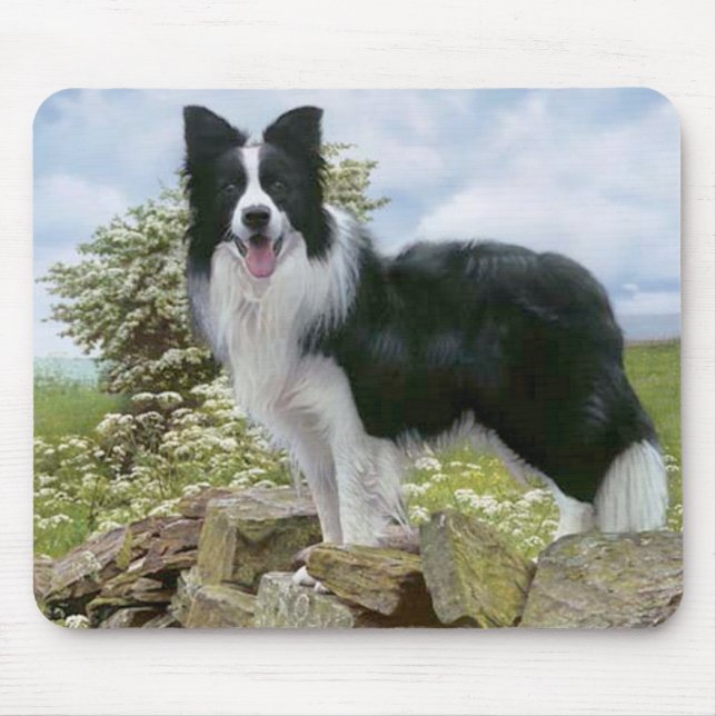 Mousepad Pasta-Mão-Mão De Cão De Cães De Collie Preta E Bra (Frente)