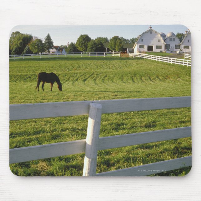 Mousepad Pastagem de cavalos na fazenda (Frente)