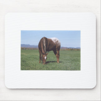 Mousepad Pastando o Appaloosa