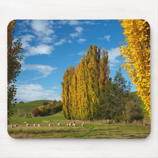 Mousepad Pasto de fazenda com ovelhas (Frente)