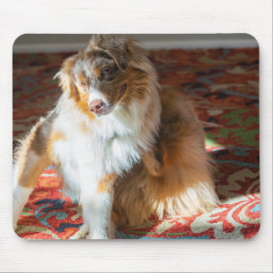 Mousepad Pastor australiano Red Merle