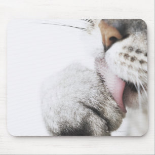 Mousepad Pata da limpeza do gato