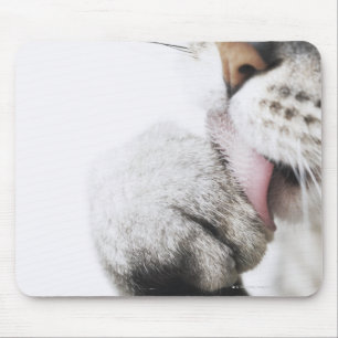 Mousepad Pata da limpeza do gato
