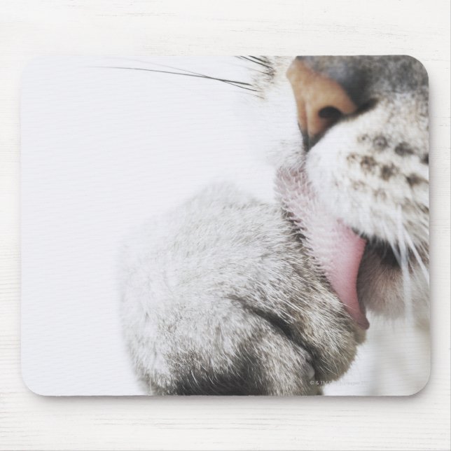 Mousepad Pata de limpeza de gatos (Frente)