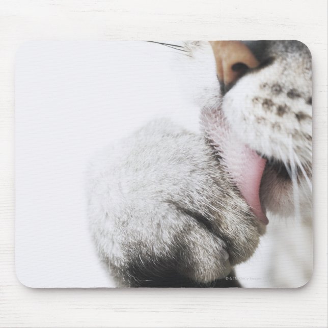 Mousepad Pata de limpeza de gatos (Frente)
