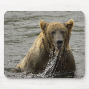 Mousepad Pata-porca-do-urso castanho