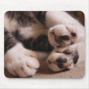 Mousepad Patas do gatinho