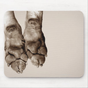 Mousepad Patas dos cães