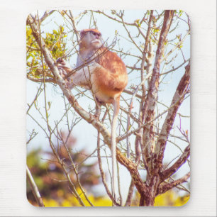 Mousepad Patas é uma árvore