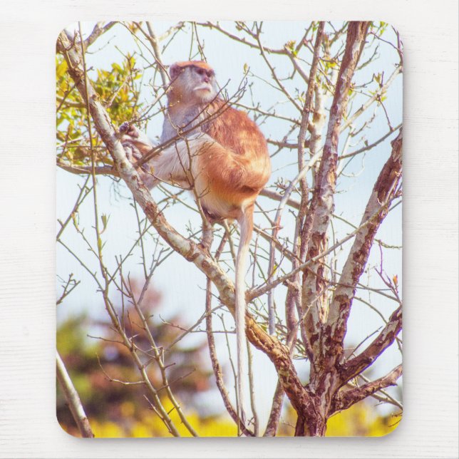 Mousepad Patas é uma árvore (Frente)