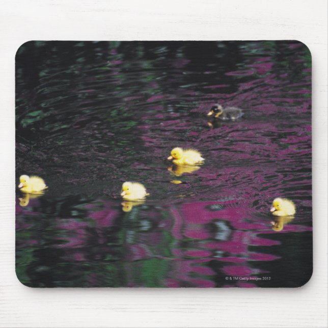 Mousepad patinho (Frente)