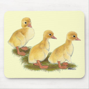 Mousepad Patinhos amarelos