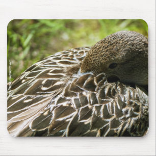 Mousepad Pato