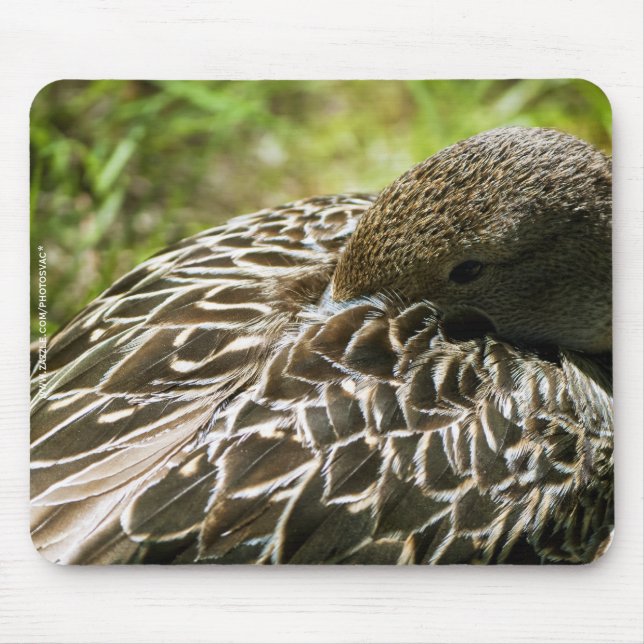 Mousepad Pato (Frente)