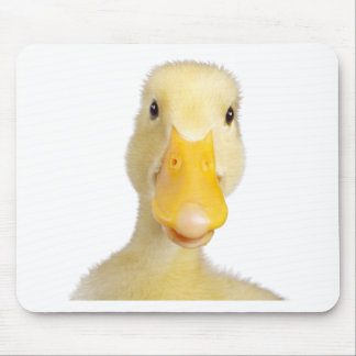Mousepad Pato
