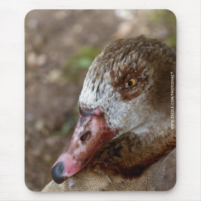 Mousepad Pato (Frente)