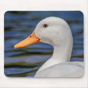 Mousepad Pato branco do pato selvagem