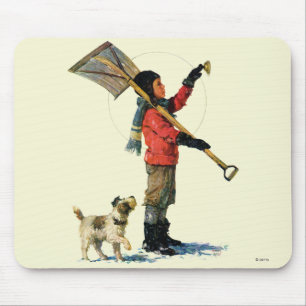 Mousepad Pato-colhereiro da neve
