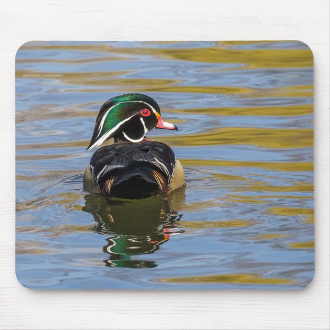 Mousepad Pato Colorido de Madeira (Frente)