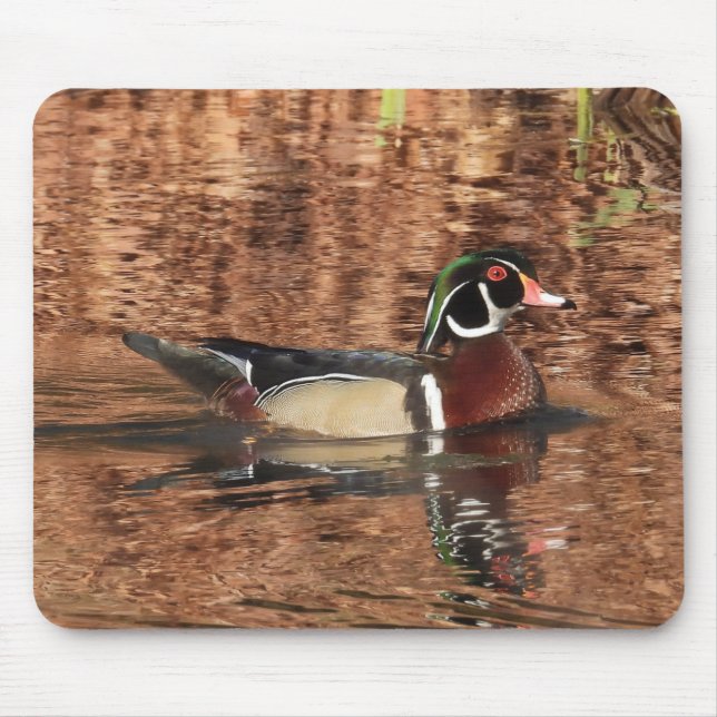 Mousepad Pato Colorido de Madeira Masculina (Frente)