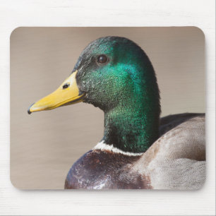 Mousepad Pato-de-cabeça