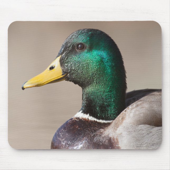 Mousepad Pato-de-cabeça (Frente)