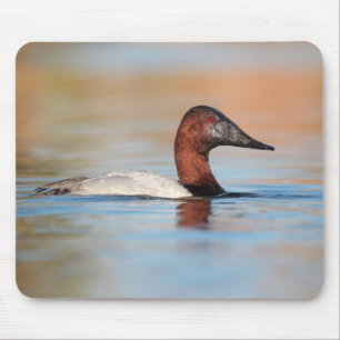 Mousepad Pato-de-canvasback masculino