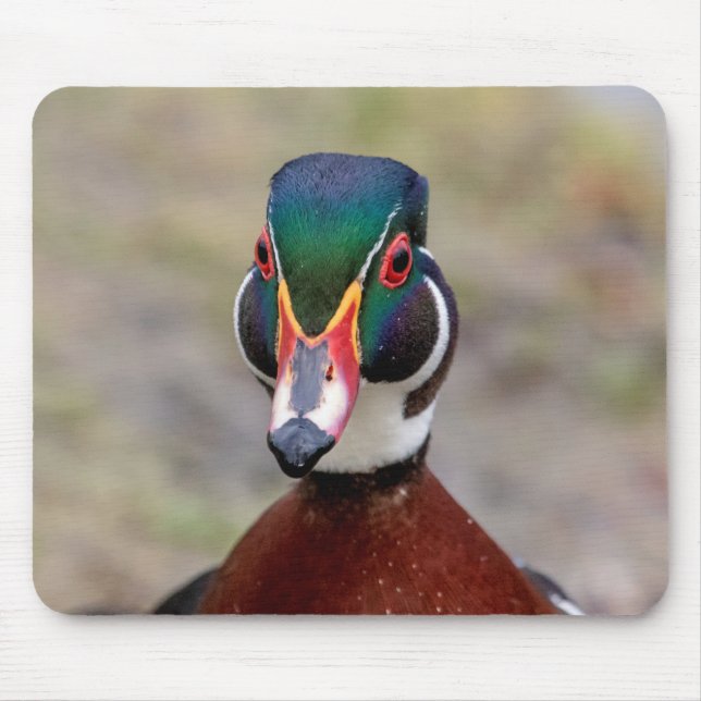 Mousepad Pato de Madeira (Frente)
