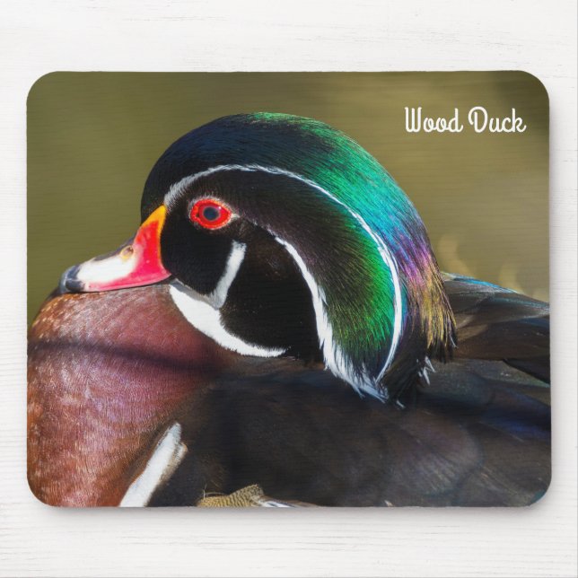 Mousepad Pato de Madeira (Frente)