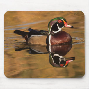 Mousepad Pato de madeira no lago Ouro