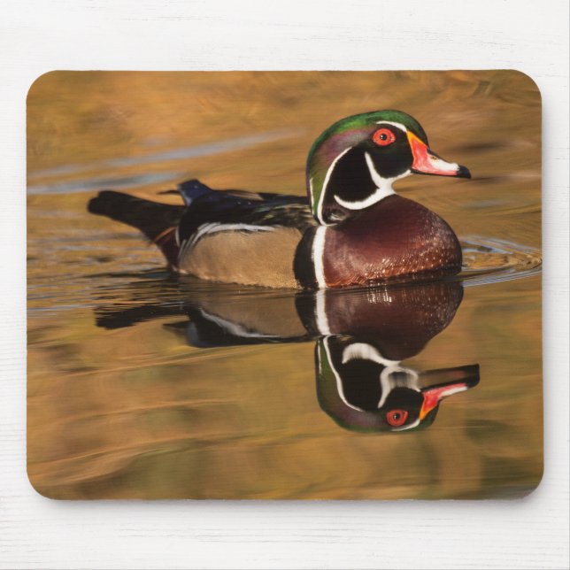 Mousepad Pato de madeira no lago Ouro (Frente)