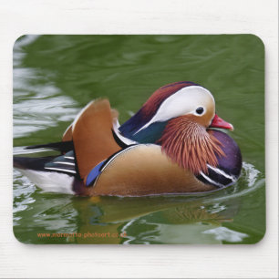 Mousepad Pato de mandarino Mousemat