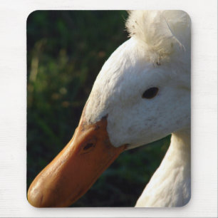 Mousepad Pato Detido