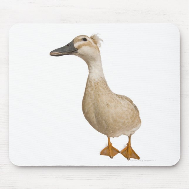 Mousepad Pato Detido feminino, 3 anos (Frente)